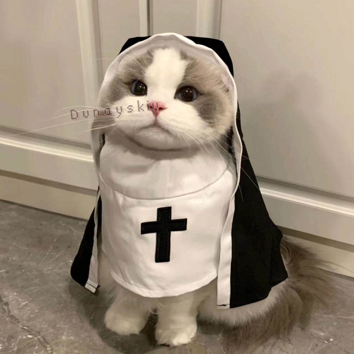 Anime Cosplay Cat - クリスマスペット犬猫コスプレ衣装通気性ペットアクセサリー子犬子猫修道女服ドレスアップハロウィンジャンプスーツコート