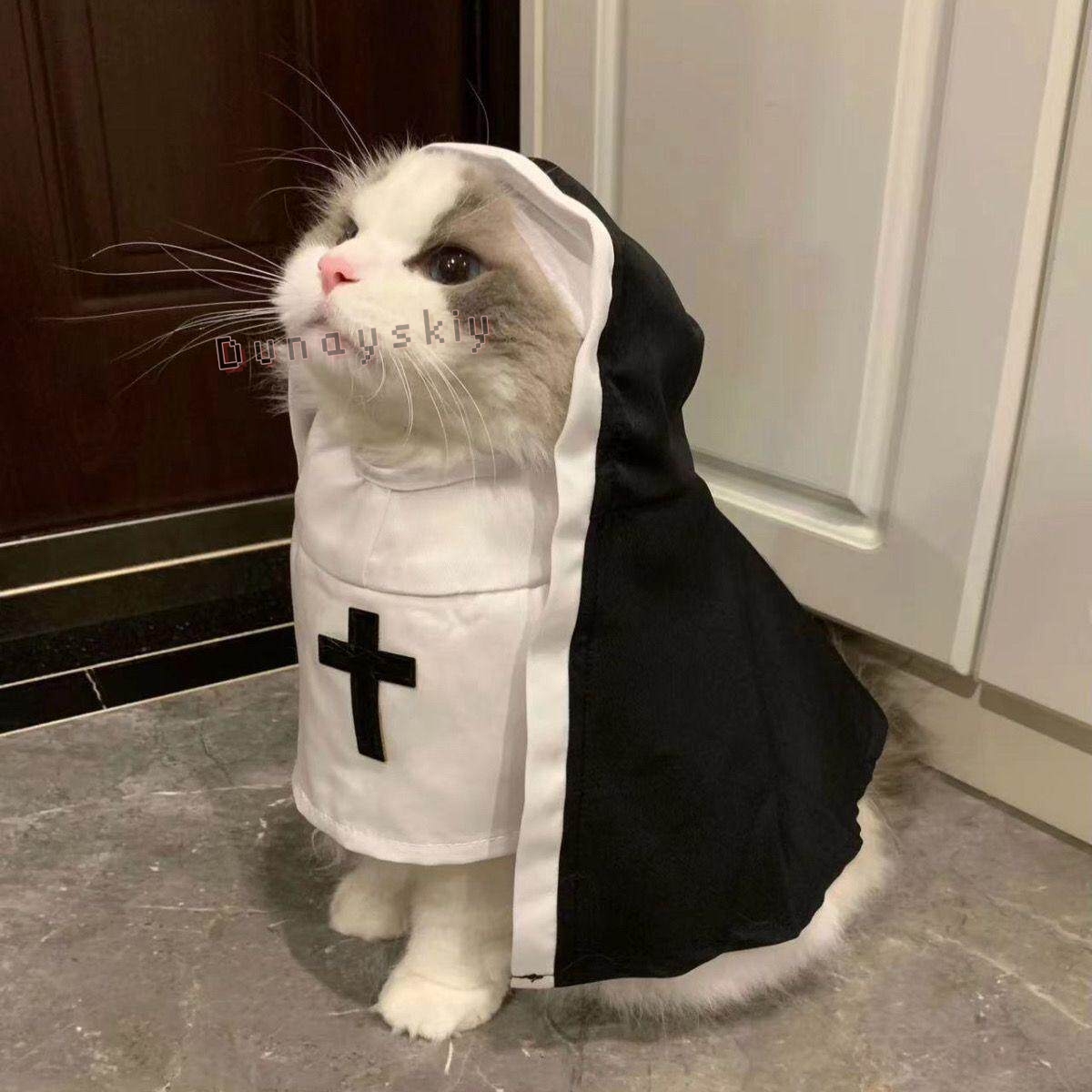 クリスマスペット犬猫コスプレ衣装通気性ペットアクセサリー子犬 - Anime Cosplay Cat のレビューと価格