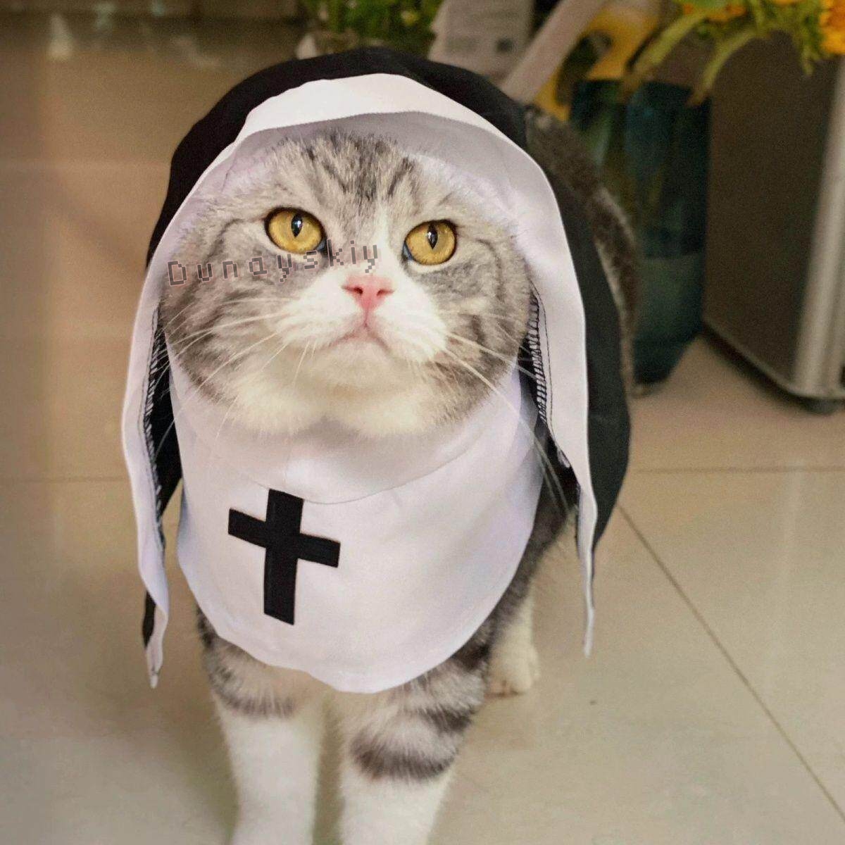 クリスマスペット犬猫コスプレ衣装通気性ペットアクセサリー子犬 - Anime Cosplay Cat のレビューと価格